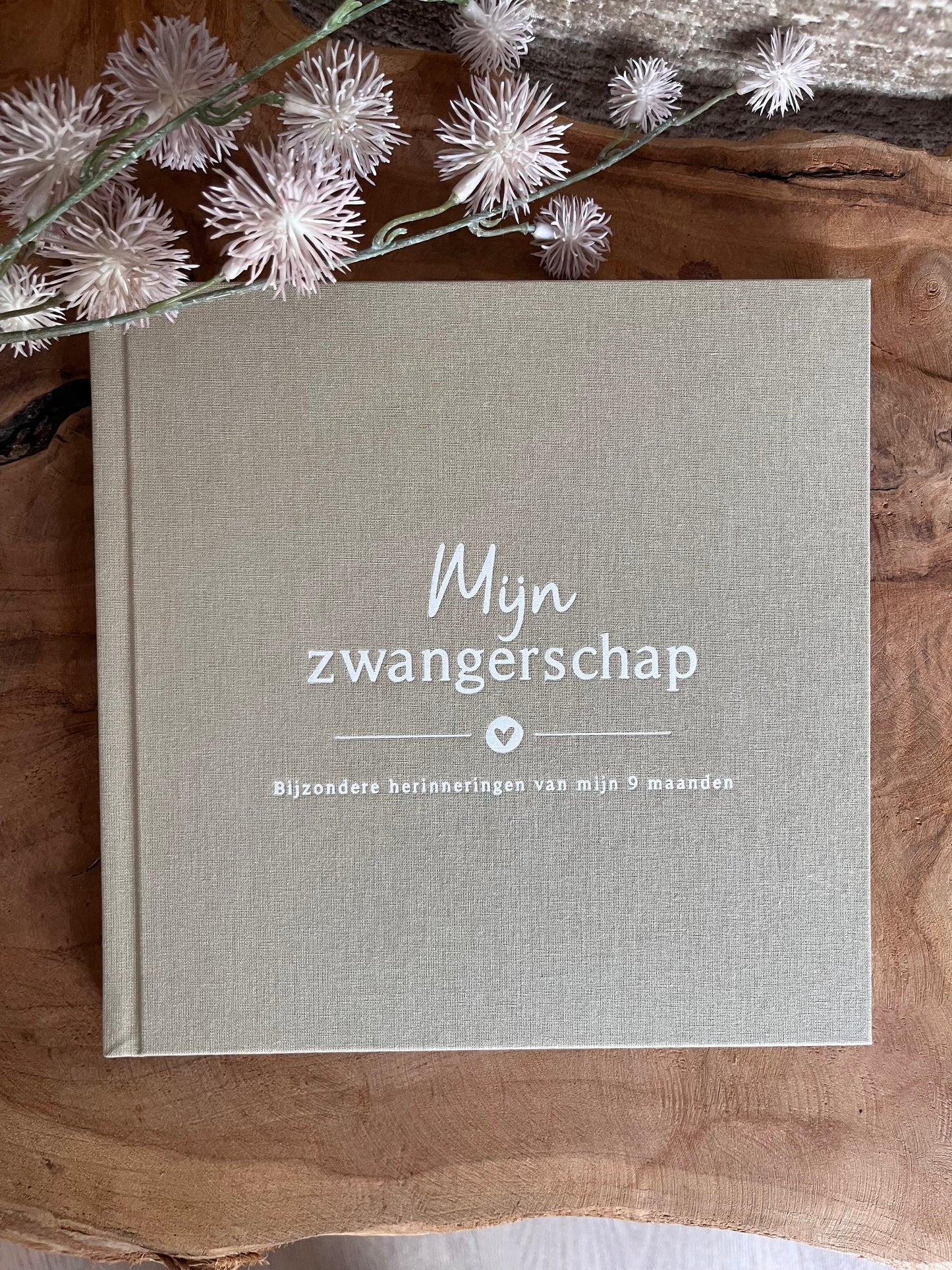 Invulboek - mijn zwangerschap