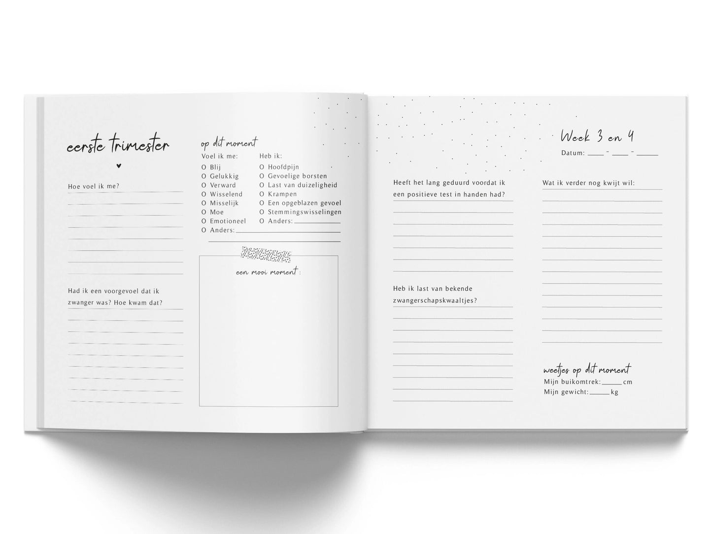 Invulboek - mijn zwangerschap